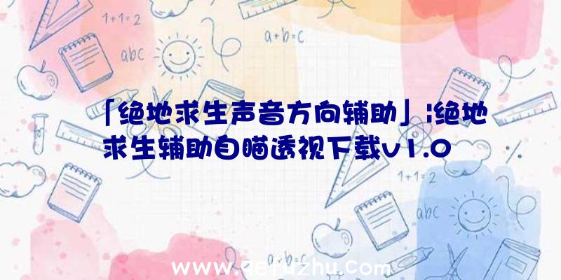 「绝地求生声音方向辅助」|绝地求生辅助自瞄透视下载v1.0